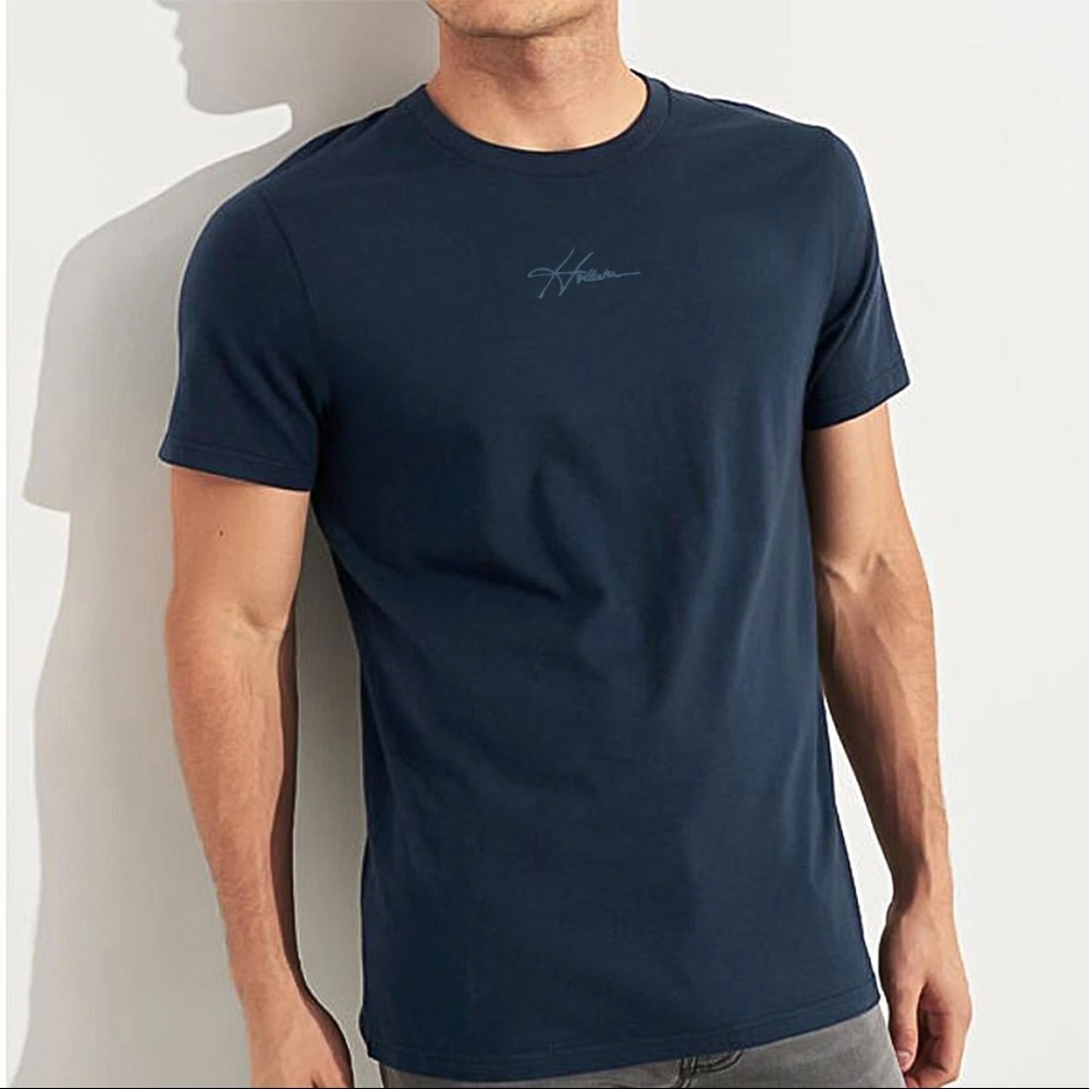 Mens Hollister Tee